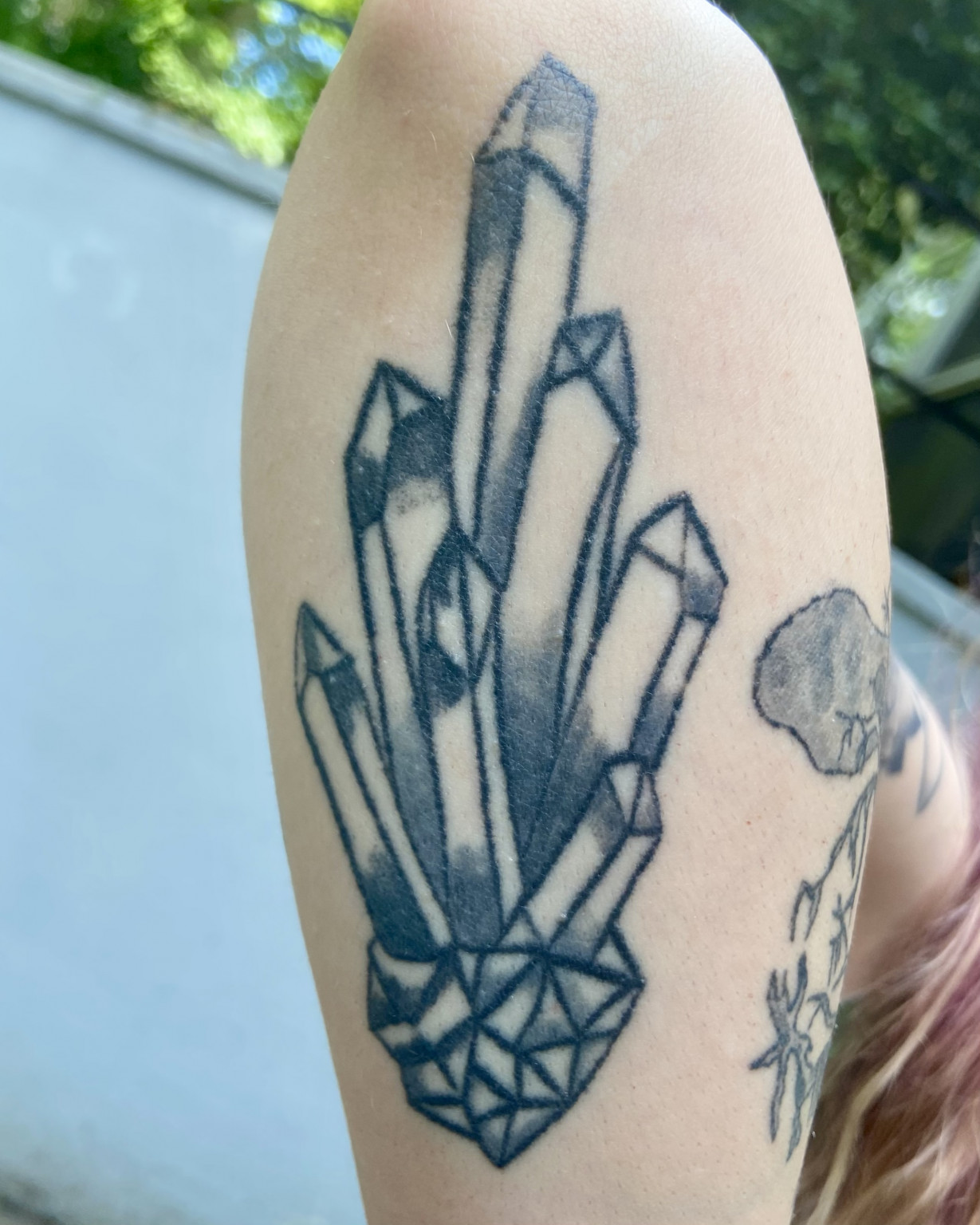 Rachel Kimpland Inked Cover Girl
