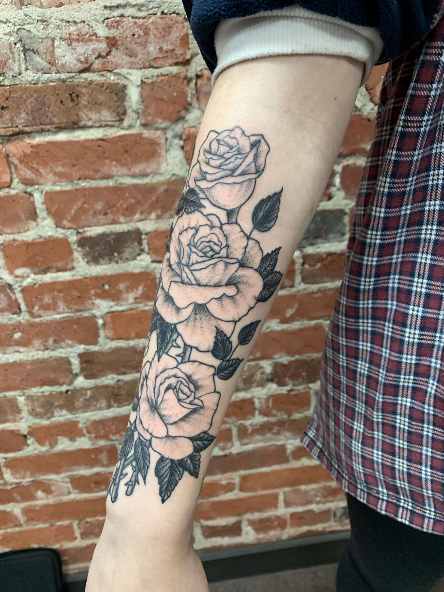 Dakota brooks | Inked Originals